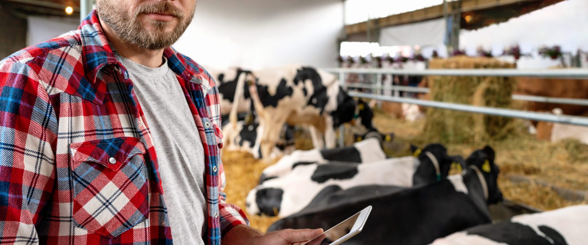 Plată avans APIA la zi pentru teren și animale!