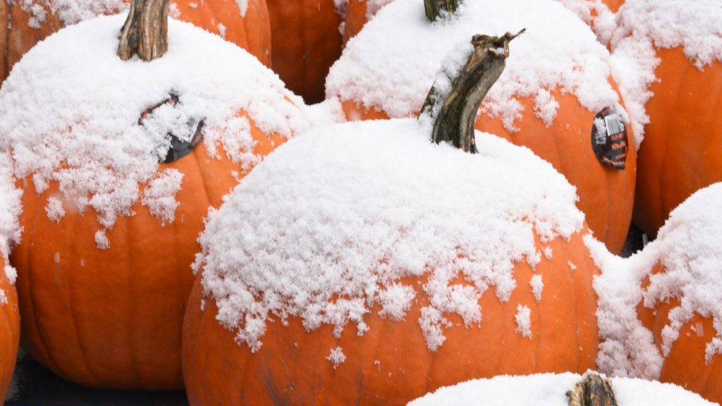 What's the weather in Central Minnesota on Thanksgiving?