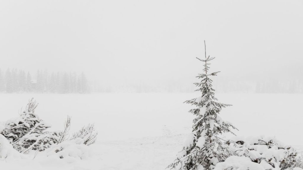 Igazi télies vasárnap