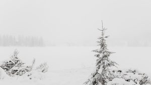 Duminică adevărată de iarnă