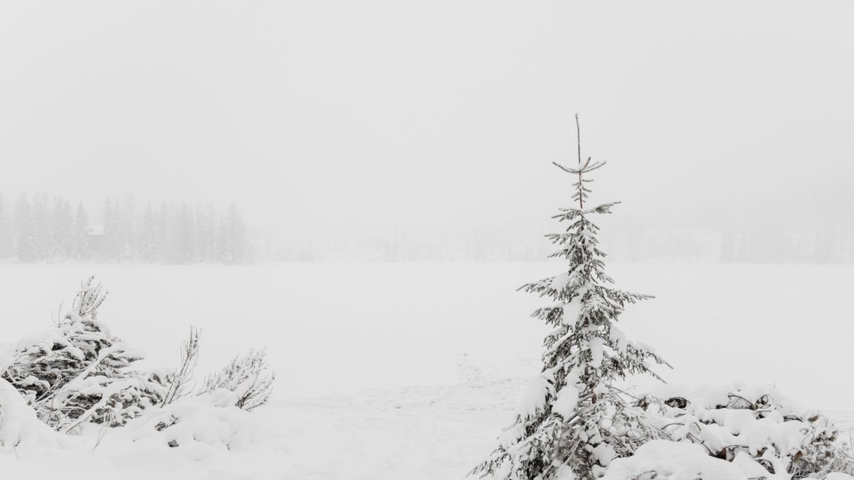 Igazi télies vasárnap