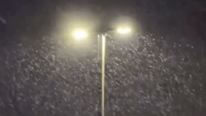 Locuitorii din Columbus se bucură de prima ninsoare a sezonului