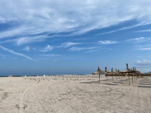 Nicuşor Dan atrage atenţia Curţii Constituţionale de Resetare asupra legii privind accesul la plaja Mării Negre.