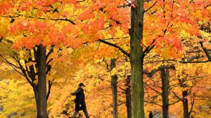 Temperatură la munte cu până la 12°C peste medie națională, fenomen meteo rar