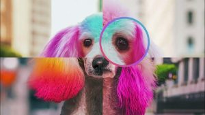 Instrumentul Google nou, pentru a descoperi adevărul