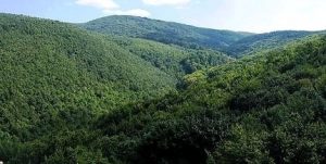 Prognoza meteo: Ce ne rezervă vremea în ultima weekend din an?