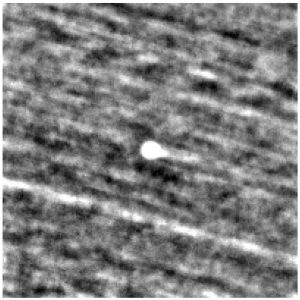 Un astrofizician de la Harvard spune că o navă militară extraterestră va veni vineri la Pământ