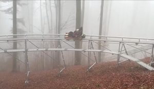 Costul unei excursii cu sania de vară în Bucovina pe un traseu de peste 1 km, indiferent de anotimp