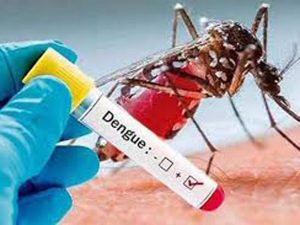 Panama înregistrează o scădere a numărului de cazuri de dengue.