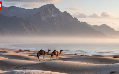 UAE weather: Winter begins, NCM warns of cold nights and occasional rain | World News