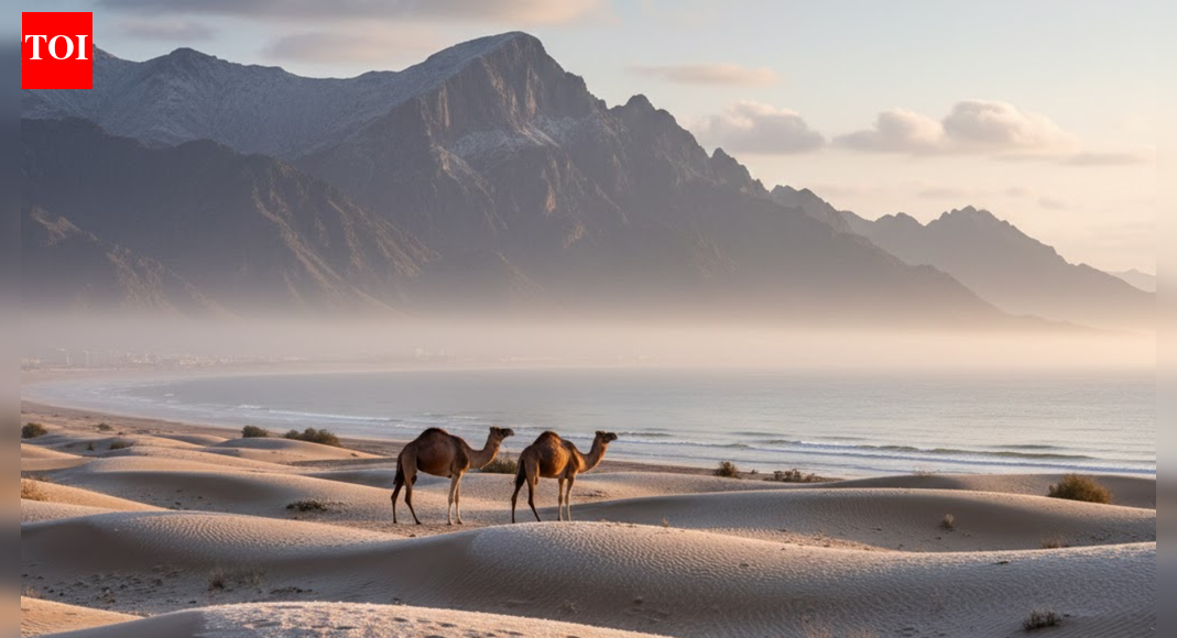 UAE weather: Winter begins, NCM warns of cold nights and occasional rain | World News