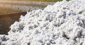 Guvernul plătește SUA datoria de 30+ de ani pentru creditul de import de bumbac