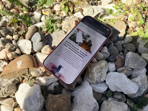 Cererea masivă pentru iPhone 17 stimulează piața mondială a smartphone-urilor în 2025