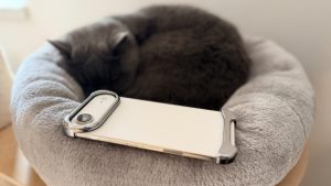 Aplicațiile iPhone dau erori după actualizare – de ce?