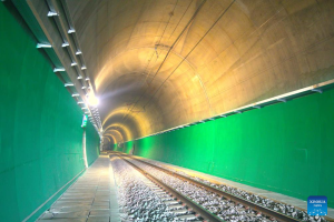 Nouă calea ferată modernă construită de chinezi începe să funcționeze în Georgia – Xinhua