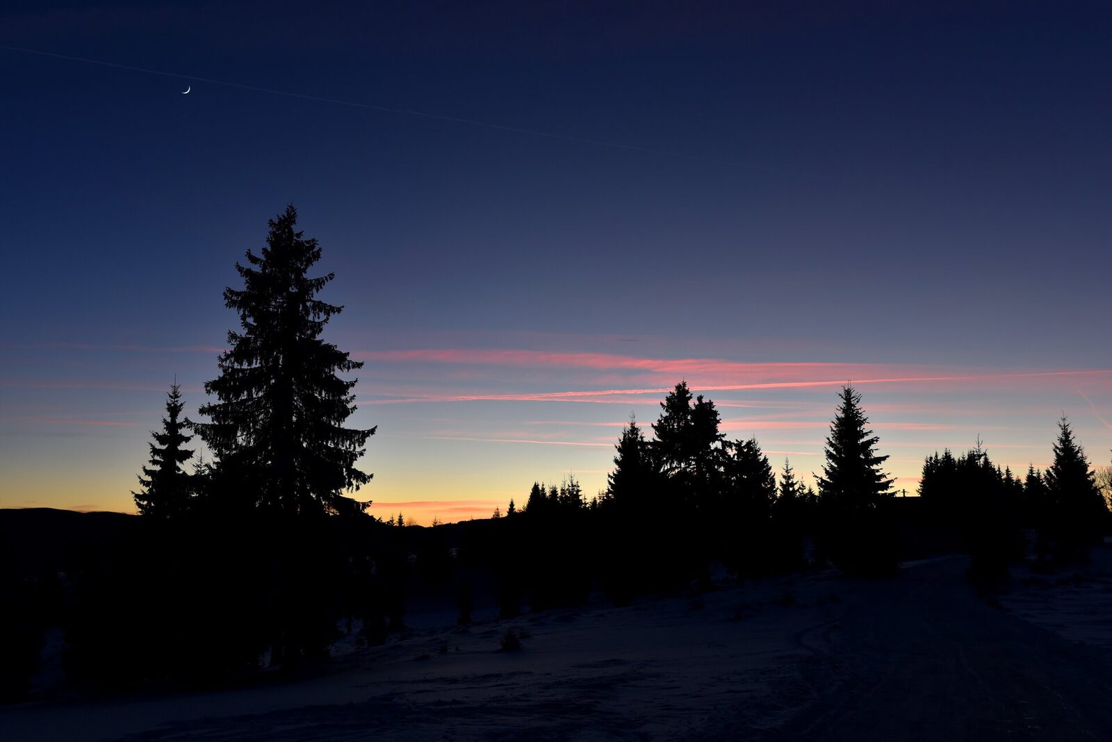 În 2025, solstițiul de iarnă marchează începutul iernii astronomice duminică, 17:03