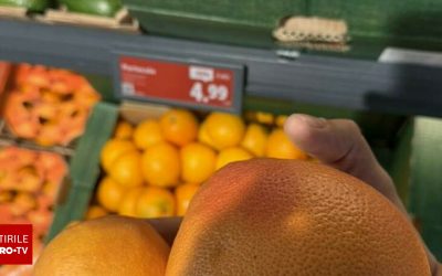Șeful ANPC: Suntem bătaia de joc a importatorilor de citrice. Lămâile și portocalele din România sunt furaj animalier