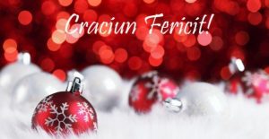 Vă dorim un Crăciun fericit și sărbători frumoase alături de cei dragi!