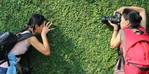 Trucuri pentru un autofocus rapid pe mirrorless la copii și animale în mișcare