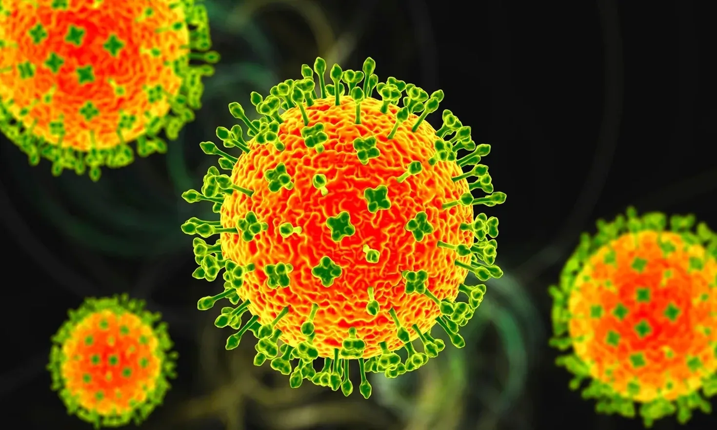 Vietnamul, fără cazuri de infecție Nipah, ia măsuri preventive rapide
