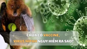 Virusul Nipah: ce riscuri ascunse ne amenință în absența vaccinului?