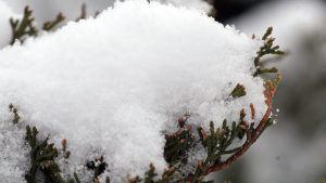 Ninsori ușoare prognozate: până la 2,5 cm de zăpadă în București