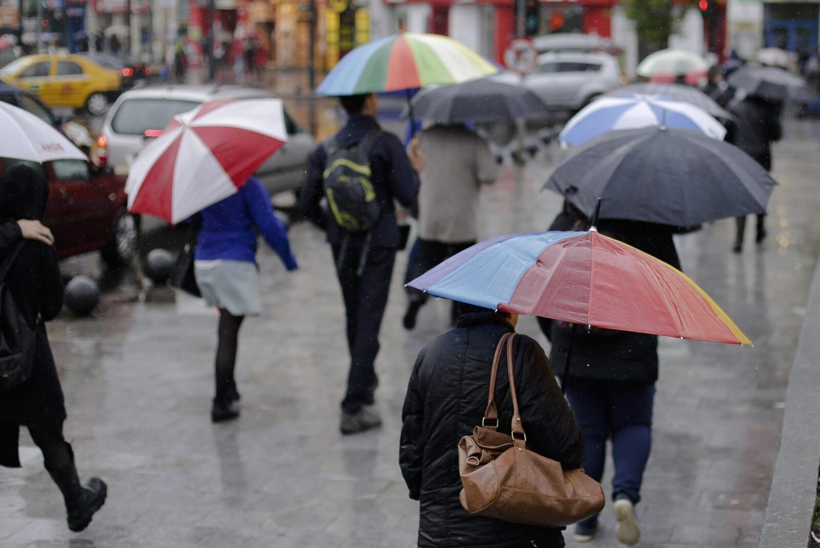 Ploi în întreaga țară pe 26 ianuarie, temperaturi anormale pentru iarnă