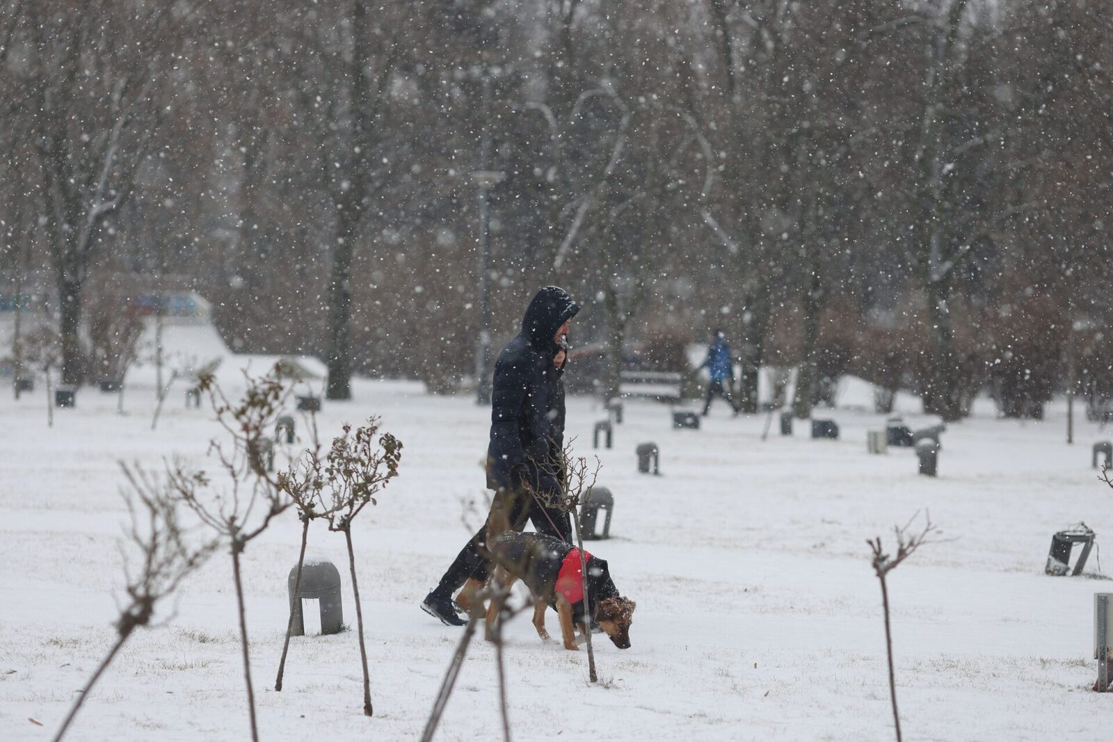 Avertizări meteo: Ninsori și ploi afectează peste jumătate din țară