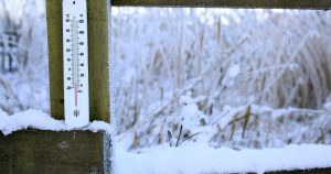 Ger polar în toată țara: Bucureștiul se pregătește pentru minus 14 grade