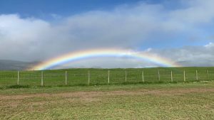 Vreme extremă în Hawaii pentru 13 ianuarie 2026: Impact pe Big Island