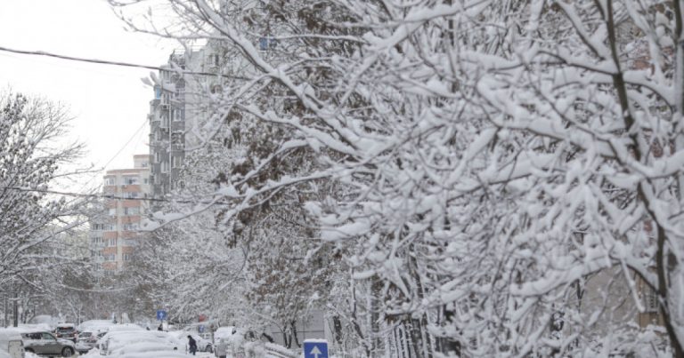 Gerul revine: Ninsori, polei și vânt în următoarele zile!