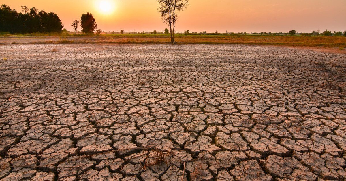 El Niño amenință să facă din 2027 cel mai călduros an din istorie