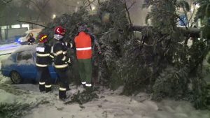 Cod roșu de ninsori în Capitală și Ilfov: trafic îngreunat și copaci căzuți