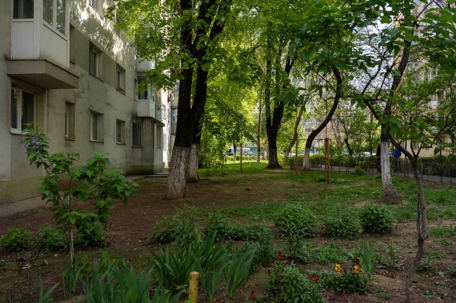 Refacerea spațiilor verzi din Pantelimon, competiție pentru studenți C40 Reinventing Cities