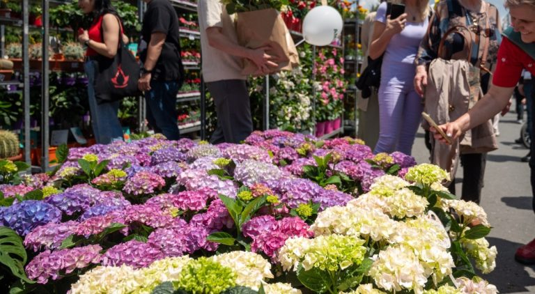 West Side Flower Fest 2026: Înscrieri comercianți, detalii