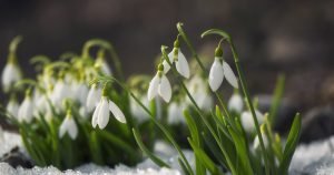 Martie cu iarnă? Meteorologii anunță un nou episod, dar fugitiv