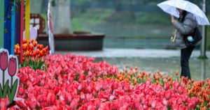 Vremea face șotii: Temperaturi de vară, dar vin ploile. Meteorologii anunță schimbări majore