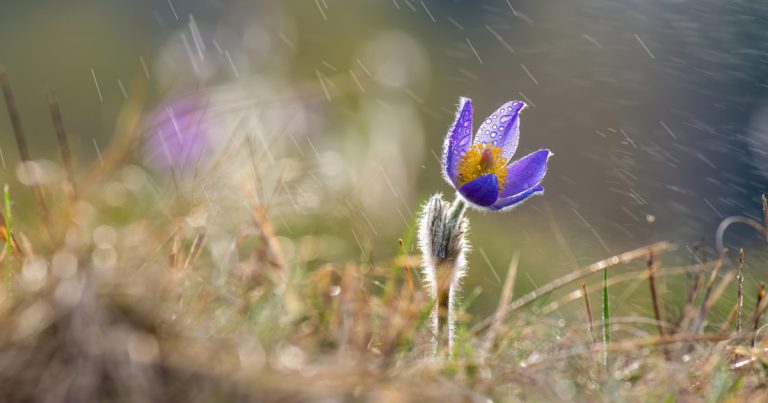 Vine iarna peste românia: După căldura de aprilie, frig polar
