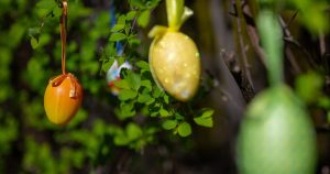 Prognoza meteo de florii și paște: Ce ne așteaptă până pe 20 aprilie?