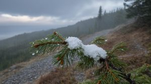 Viscol puternic în Ungaria: Alertă de vreme extremă, autoritățile au emis avertismente