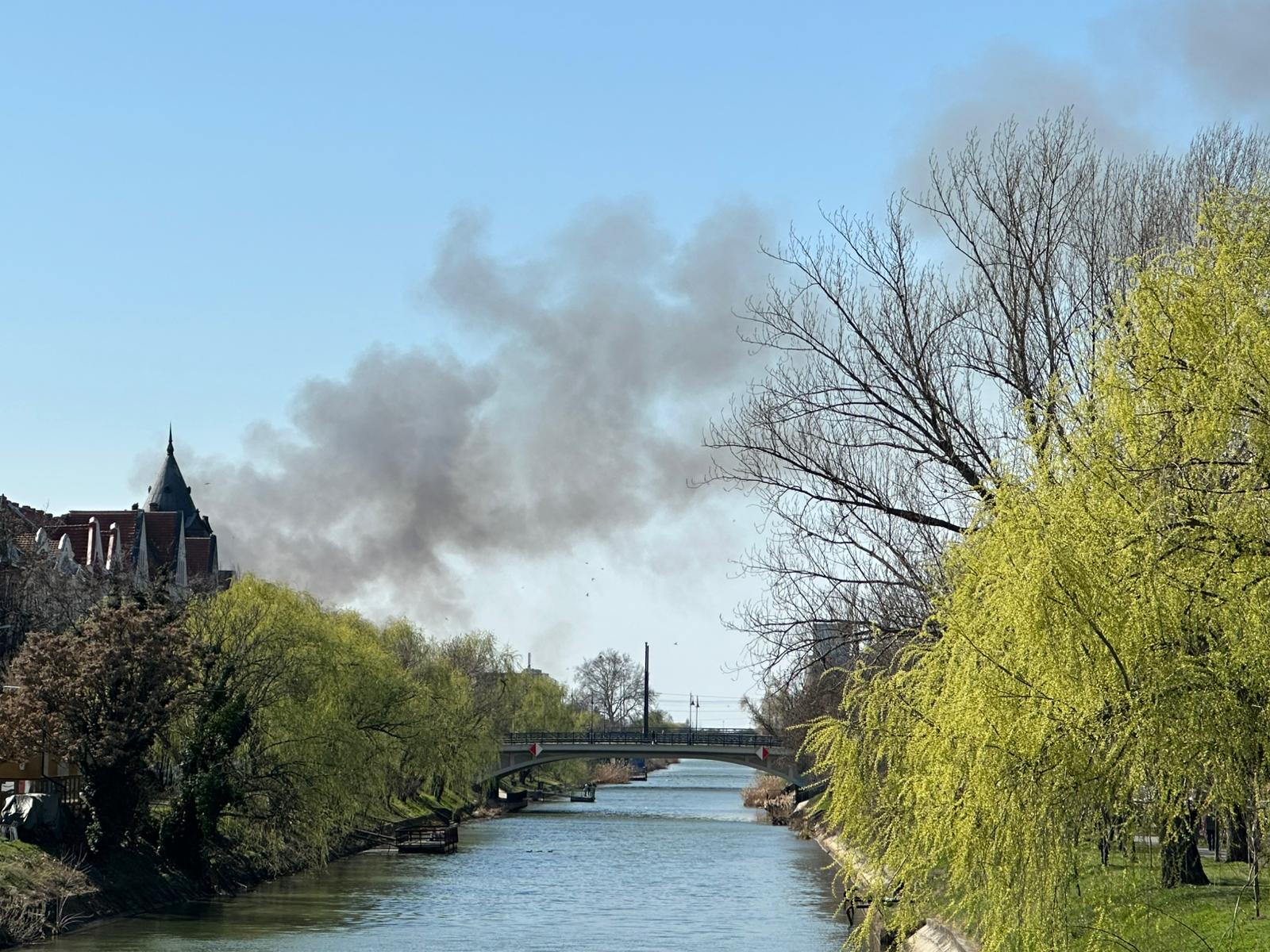 Incendiu lângă liceul auto din freidorf: Pompierii luptă cu flăcările