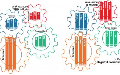 Imperiul IMM-urilor: Trei sferturi din forța de muncă, angajate aici