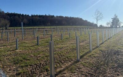 Băieții deștepți din energie: Proiecte blocate pe rețeaua electrică, scoase la vânzare pe OLX