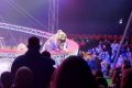Tigru, teroră la circ în Rusia: Copiii țipau, adulții fugeau panicați