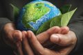Ziua Pământului: Apel PENTRU un stil de viață sustenabil