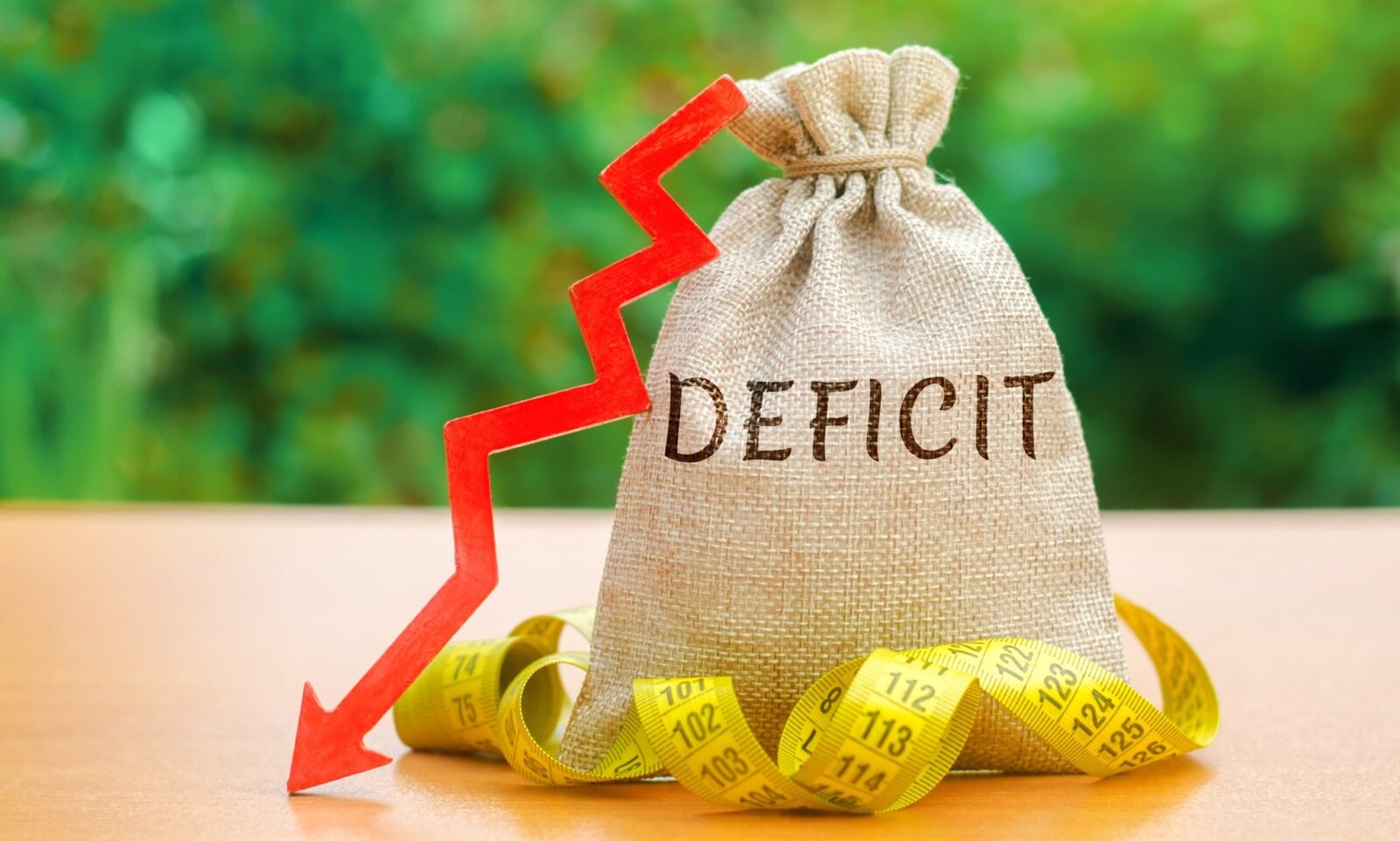 Isărescu: Euro, când societatea va fi gata. Deficit sub 3% prioritar
