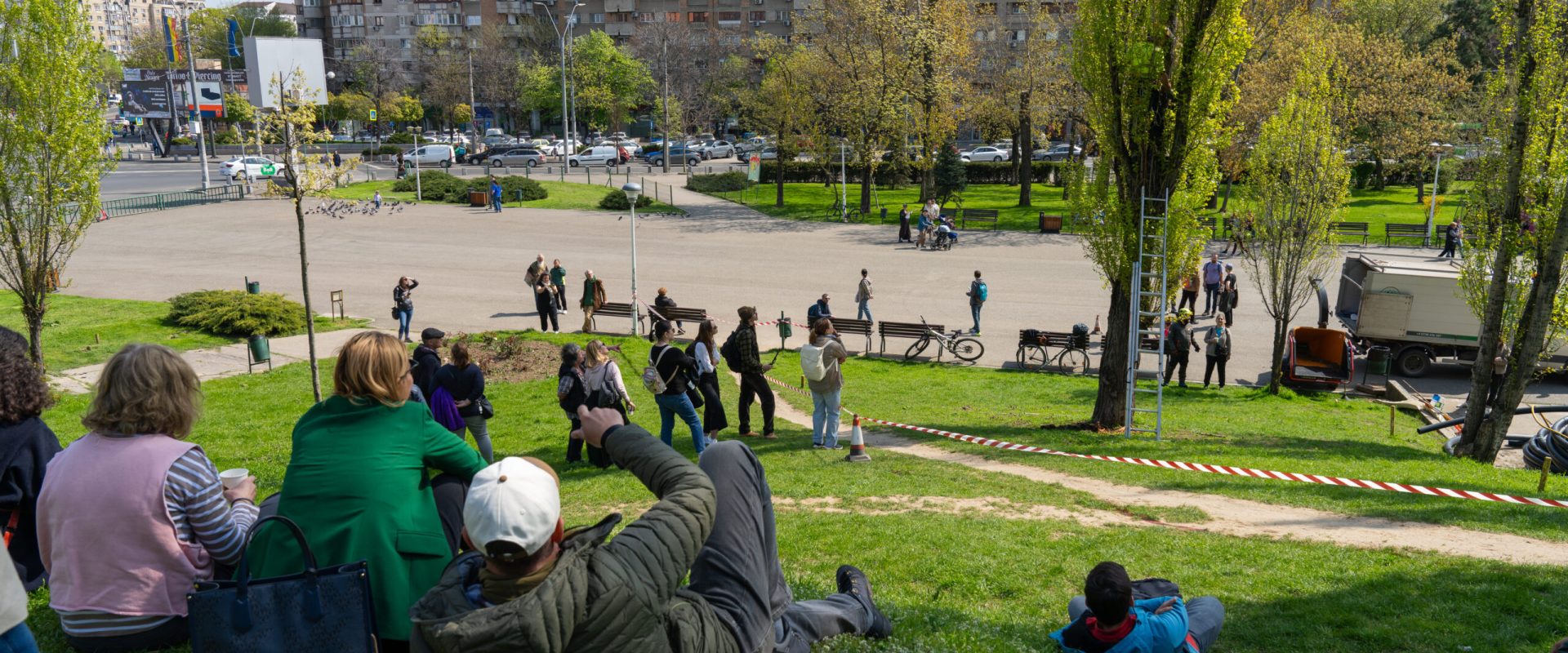 Arborii din Parcul Tineretului, în pericol: Cum sunt salvați plopii din București