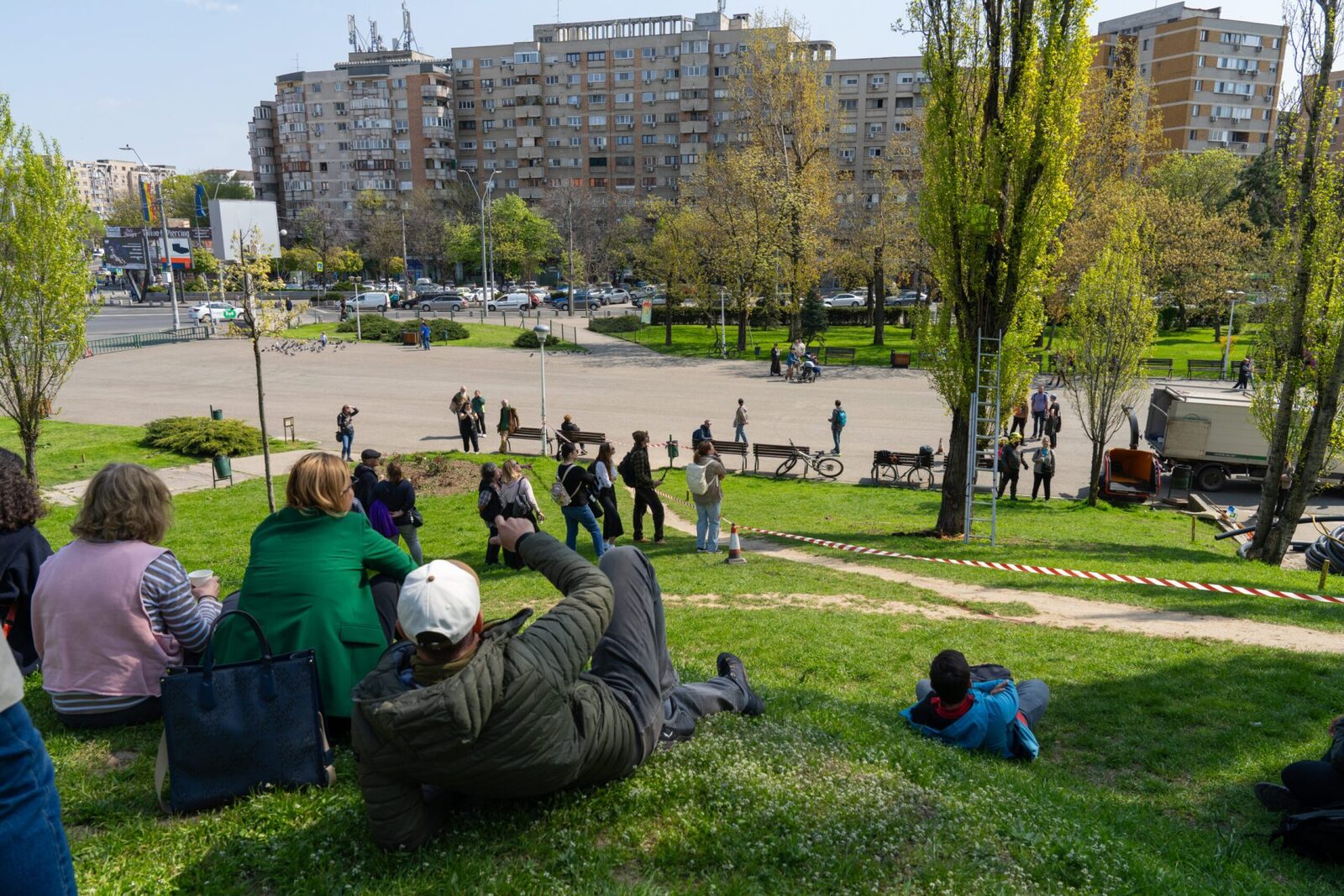 Arborii din Parcul Tineretului, în pericol: Cum sunt salvați plopii din București