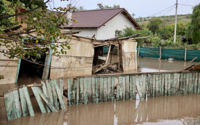 Asigurări PAD: Piața rezistă. Creștere de 4,91% a locuințelor asigurate în România