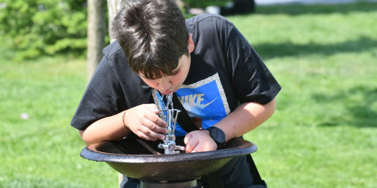 Primăria Sectorului 6: Firma cu 2 angajați, contract pentru cișmele. Cum se justifică